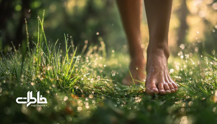 پاهای برهنه بر چمن مرطوب در صبح زود؛ آغاز روز با سکون، شادابی و پیوند با زمین.روانشناسی خاک