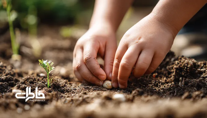 نمای نزدیک از دستان کودک که بذر عدس را در خاک نرم میکارد. روانشناسی خاک