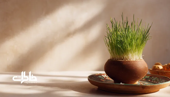 نمای نزدیک از سبزه زنده نوروز در ظرف شیشه‌ای شفاف؛ ریشه‌ها و جوانه‌ها زیر نور طبیعی. سبزه نوروز