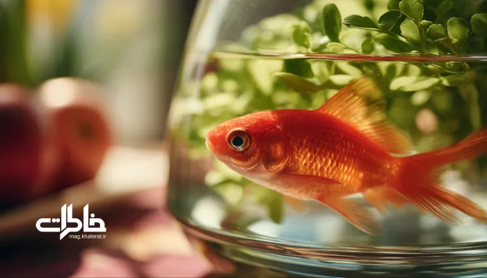 ماهی قرمز در کاسه شیشه‌ای کنار سبزه روی سفره هفت‌سین؛ تصویر واقعی و روشن از نوروز ایرانی با تمرکز بر ماهی و درخشش آب.ماهی قرمز در هفت‌سین