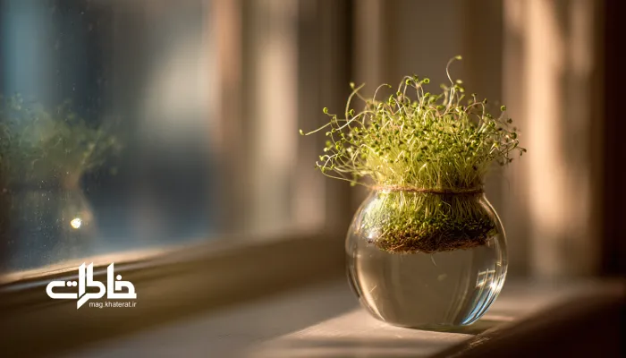 سبزهپروری.سبزه نوروزی آپارتمانی روی طاقچه سفید با نور ملایم صبحگاهی و جزئیات ایرانی؛ نماد سادگی، رویش و بهار در خانههای پرشیا