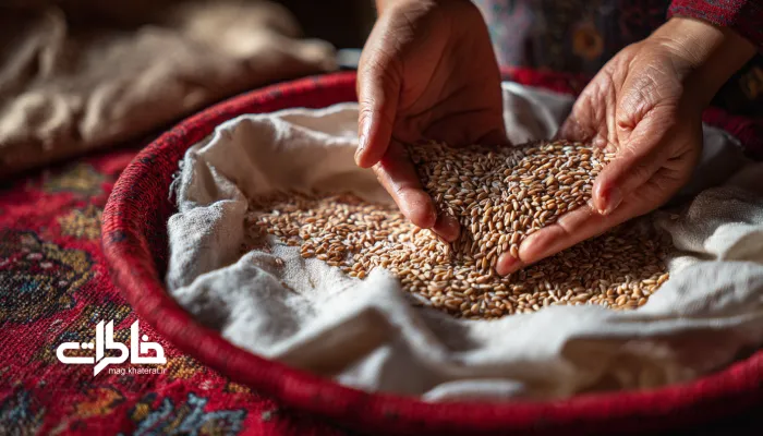 شروع کاشت سبزه عید با دستهای ایرانی که گندم خیسخورده را در ظرف قرمز میپاشند؛ آغاز رویش و آیین نوروز.سبزههای عید