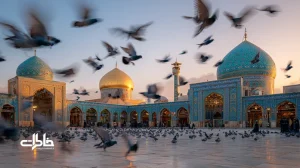 کبوترهای حرم در حال پرواز بر فراز گنبدهای طلایی هنگام غروب؛ نماد آیین آرامش، نور کهربایی و خاطرات زیارت در صحن