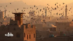 کبوترهای پشت‌بام در طلوع صبح مشهد قدیم؛ مردی در حال دانه‌پاشی روی بام‌های آجری با نور نرم سحرگاهی و پرواز گله‌ای پرندگان