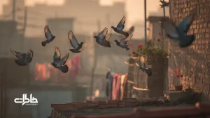 کبوترهای پشت‌بام در حال بال‌زدن در سپیده‌دم محله ایرانی؛ نور طلایی صبح، حس نوستالژی و فرهنگ محله با تمرکز بر صدای بال‌زدن کبوترها